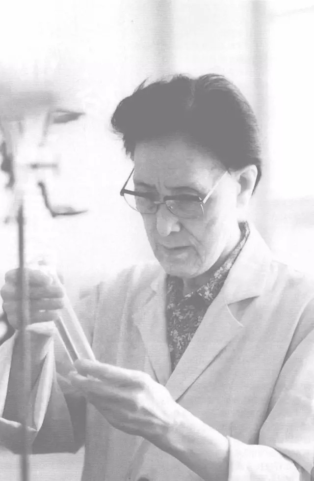陈朴先:成就张裕解百纳国际声望的中国第一代葡萄酒女酿酒师