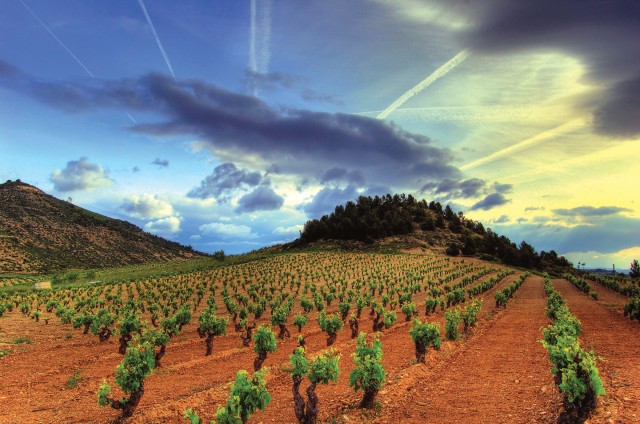 Rioja Finally Allows Naming OF Village On Labels