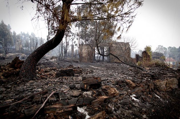 Deadly fires hit wine regions in Spain and Portugal