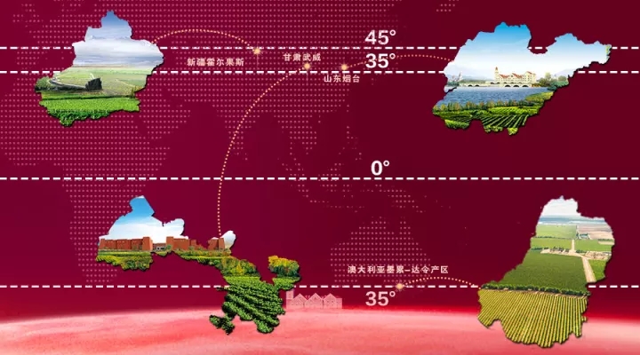 威龙投资6亿建澳洲米尔迪拉酒庄