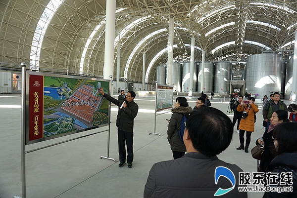 精酿出佳品 烟台张裕建设世界一流葡萄酒城