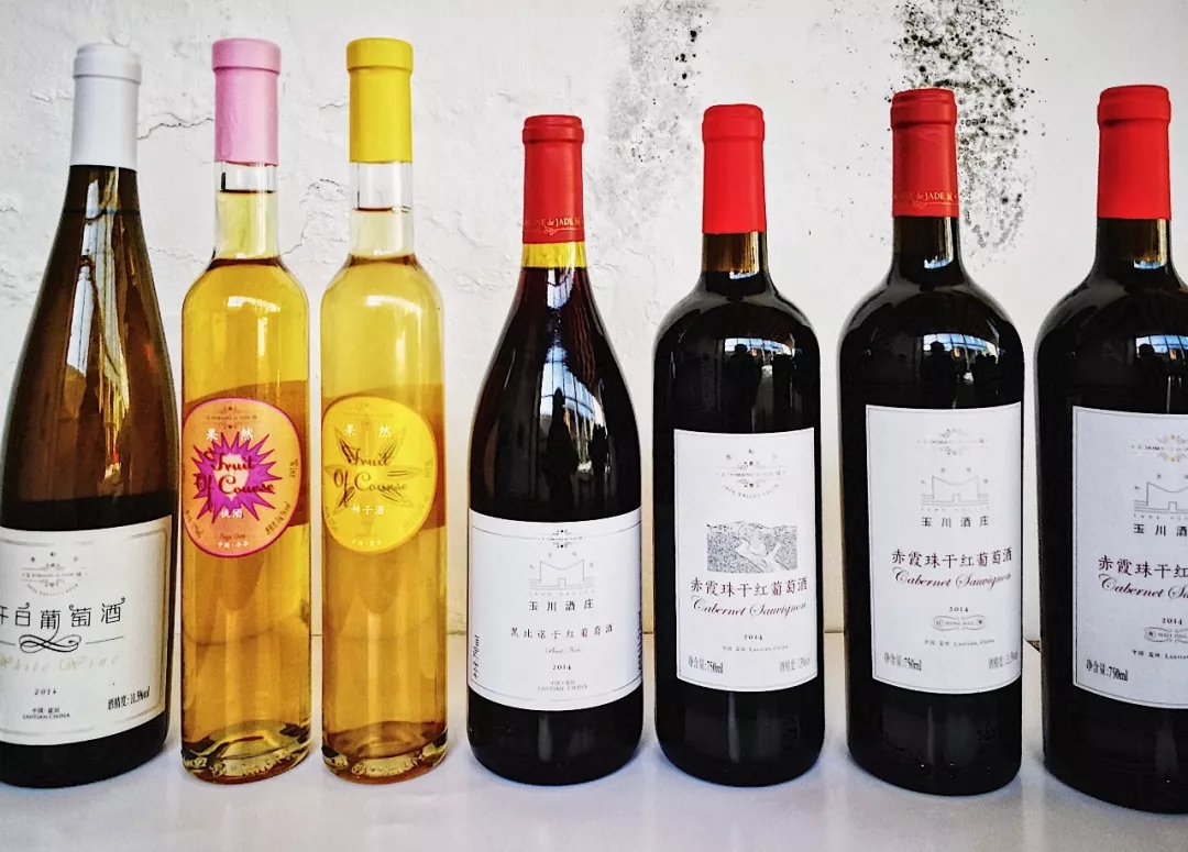 玉川酒庄2014年份酒的一场超现实发布