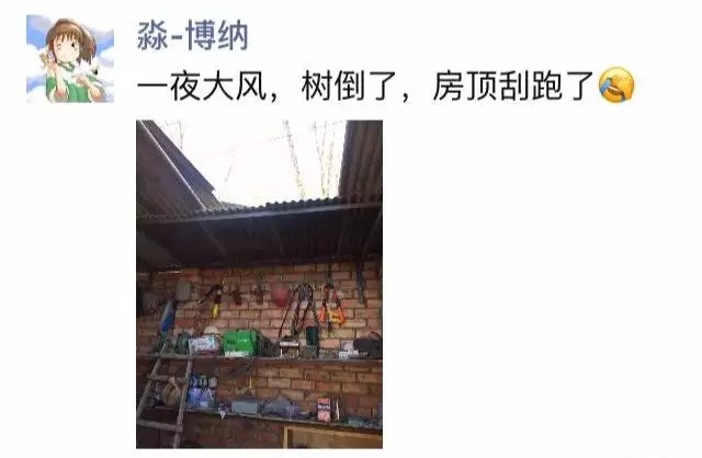 最迷你名庄和最完美爱情,这对85后海归全占了