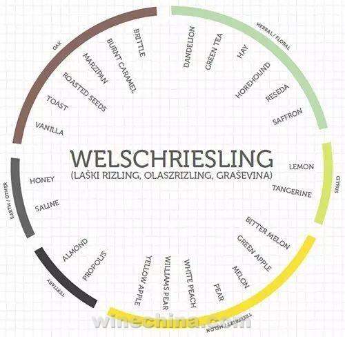 寻找中国最具潜力单品种(3)贵人香(Italian Riesling):身世迷、名字多,1892来中国