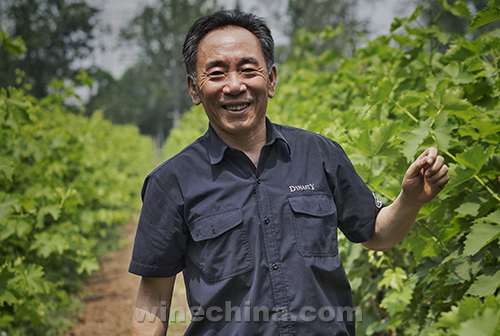 豪华评委团来了!中国优质葡萄酒挑战赛评委公布