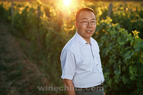 豪华评委团来了!中国优质葡萄酒挑战赛评委公布