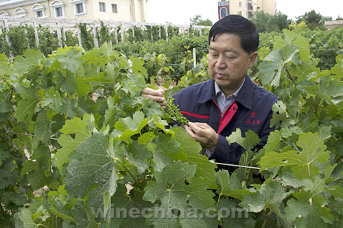豪华评委团来了!中国优质葡萄酒挑战赛评委公布