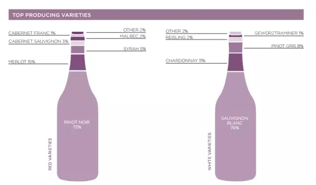 1篇数字文章看懂新西兰葡萄酒产业