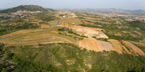 对话中信拉菲酿酒师奥利维,领略蓬莱风土
