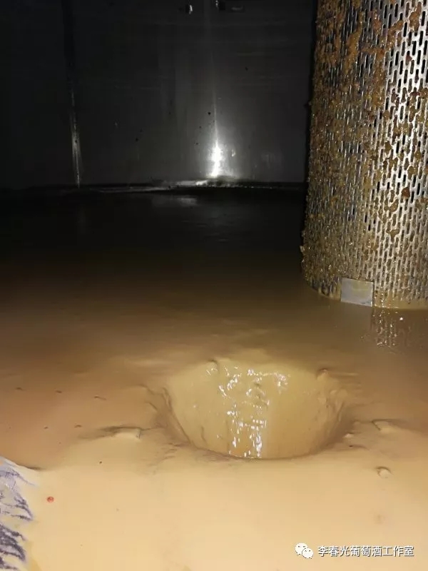 中国酿酒师笔记(十三)不经一番寒彻骨,怎得冰白沁鼻香