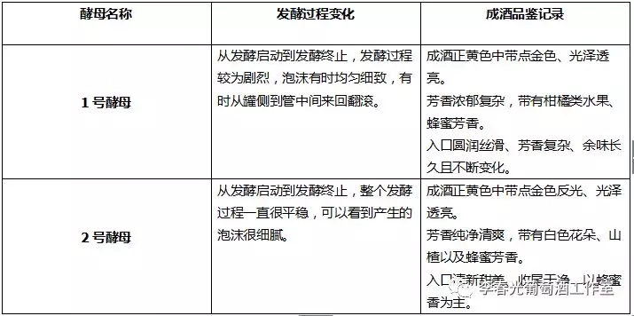 中国酿酒师笔记(十三)不经一番寒彻骨,怎得冰白沁鼻香