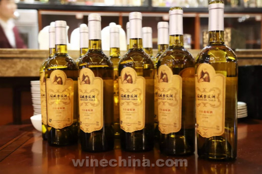 牡蛎+干白|一次美食美酒的浪漫邂逅!