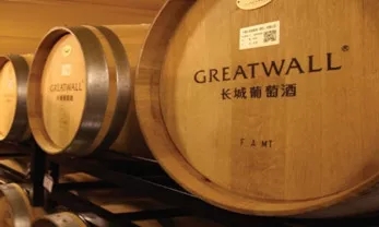 数字化——葡萄酒酿造的新配方(附数字化白皮书下载)