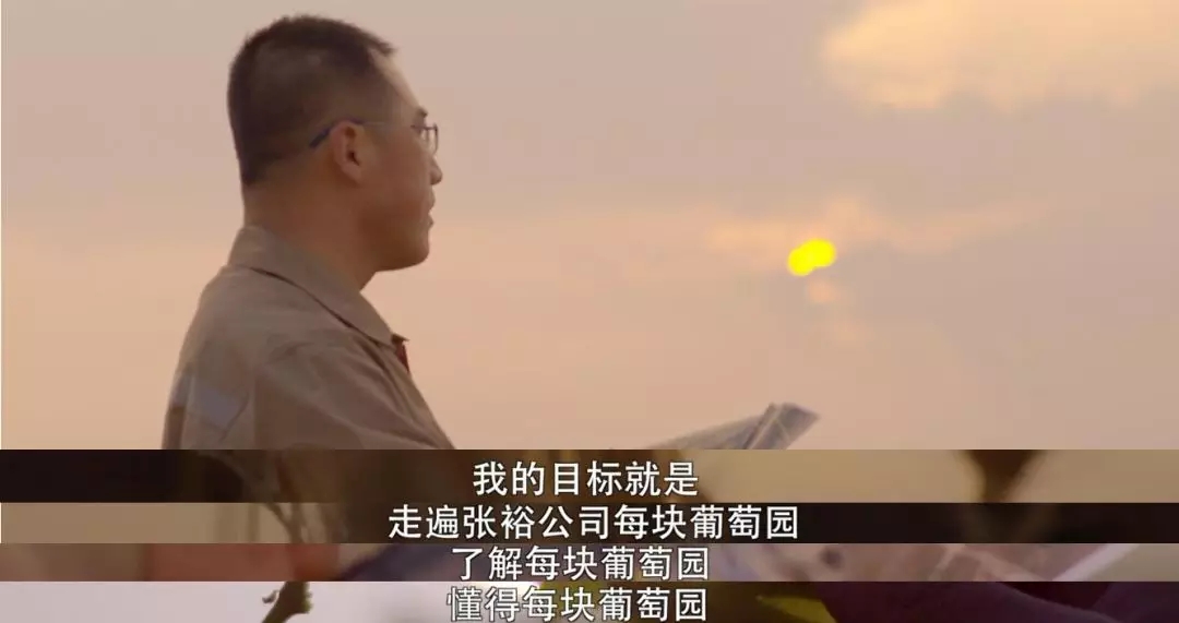 这位海归博士后,却爱上了在葡萄园挖土