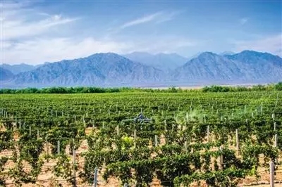宁夏7家企业获准使用“贺兰山东麓葡萄酒”地理标志产品专用标志
