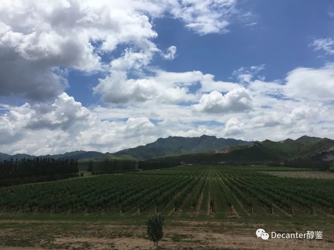 2017年中国葡萄酒产区报告(上) - 山东,河北,北京和宁夏