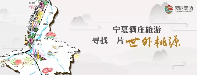 【视频】走进青铜峡葡萄酒产区