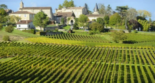 France Increases Winery Stock Level To Mitigate Weather Hazards