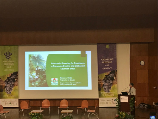 12th Conference on Grapevine Breeding and Genetics in Bordeaux