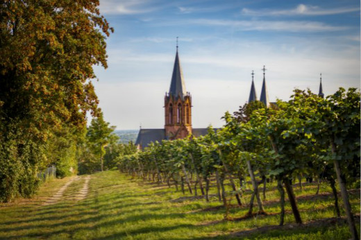 Germany Set For Earliest Harvest On Record