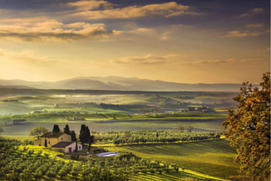 Italy Named The World's Best Wine County