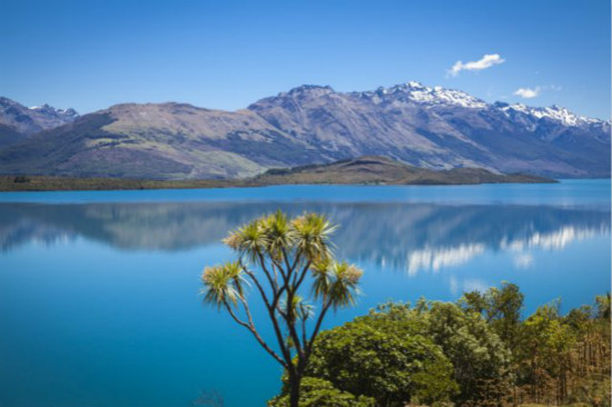 Demand For New Zealand Wine At All-Time High