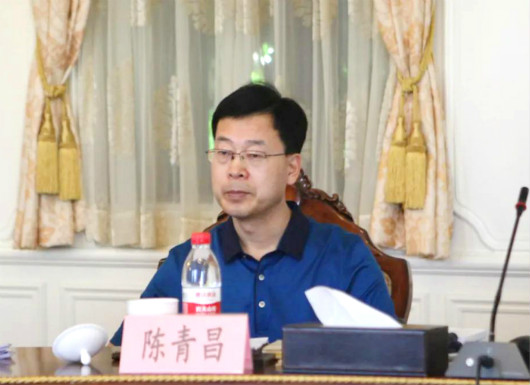威龙股份董事长_布加迪威龙(2)