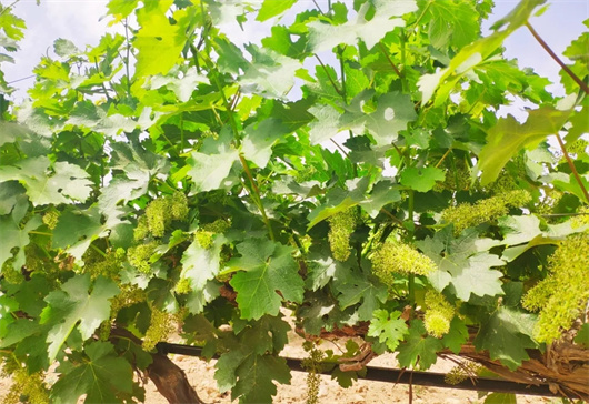20220129_181102_003.jpg 20220129_181102_003.jpg