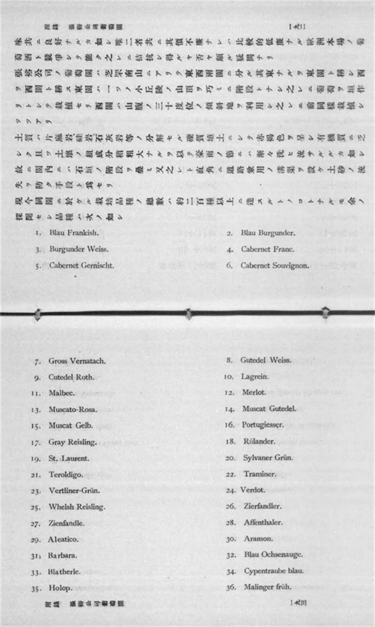 2 马尔贝克-满洲之果树.png 2 马尔贝克-满洲之果树.png