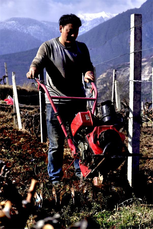 翻地.jpg 翻地.jpg