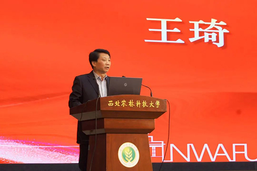 王琦.jpg 王琦.jpg