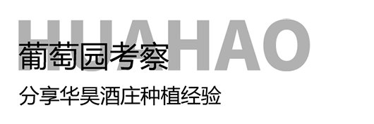 2.png 2.png