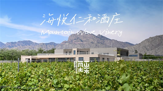 坐落于金山产区的海悦仁和酒庄.jpg 坐落于金山产区的海悦仁和酒庄.jpg