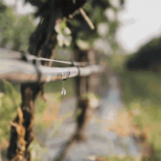 5.gif 5.gif