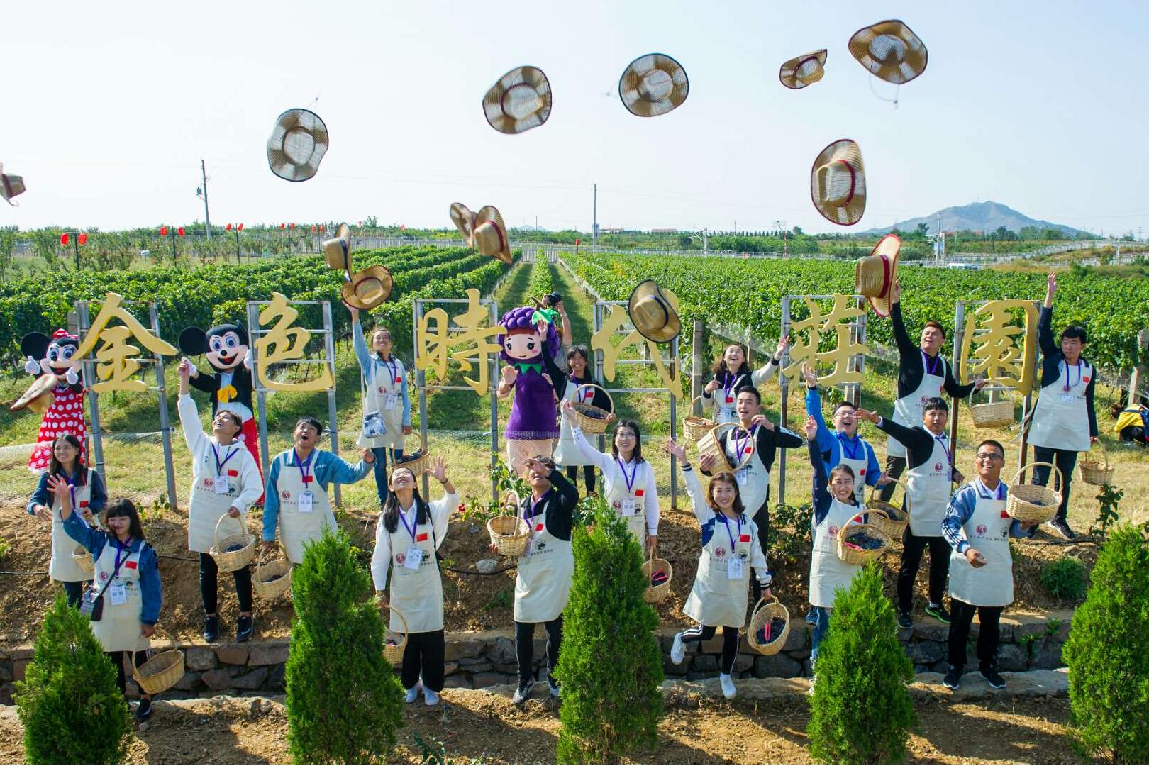 2018.8酒庄体验季采摘节.jpg 2018.8酒庄体验季采摘节.jpg