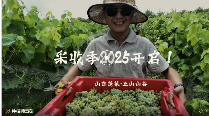 屏幕截图_27-8-2025_164750_mp.weixin.qq.com.jpeg 屏幕截图_27-8-2025_164750_mp.weixin.qq.com.jpeg