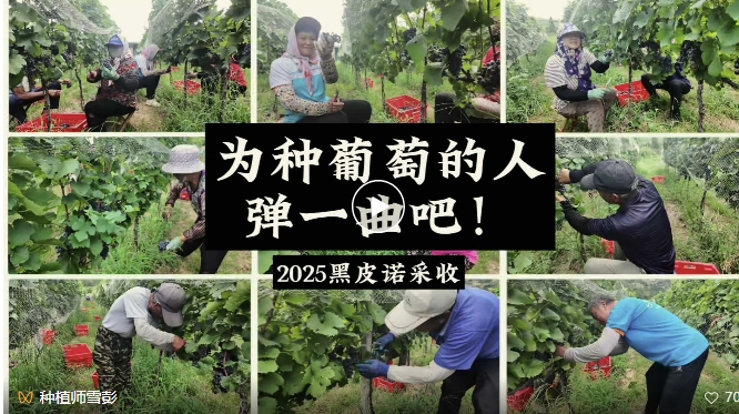 屏幕截图_27-8-2025_16480_mp.weixin.qq.com.jpeg 屏幕截图_27-8-2025_16480_mp.weixin.qq.com.jpeg