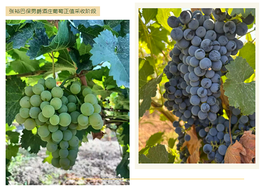 2 (2).png 2 (2).png