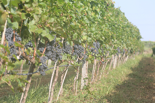 C55EBAB5056A15F7A109E15B14442CD7.JPG C55EBAB5056A15F7A109E15B14442CD7.JPG