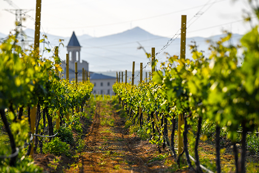 5866895C3BF3D558C57618AAEBB920DA.jpg 5866895C3BF3D558C57618AAEBB920DA.jpg