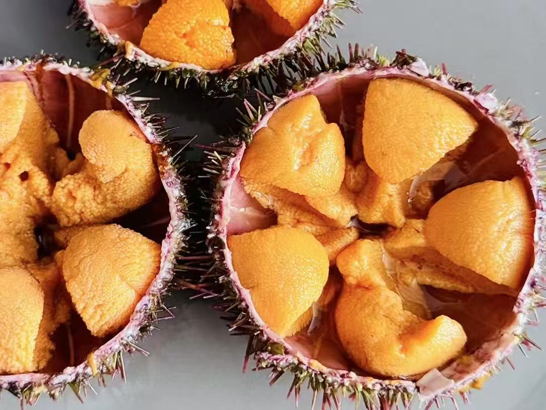 微信图片_20260106162831.jpg 微信图片_20260106162831.jpg