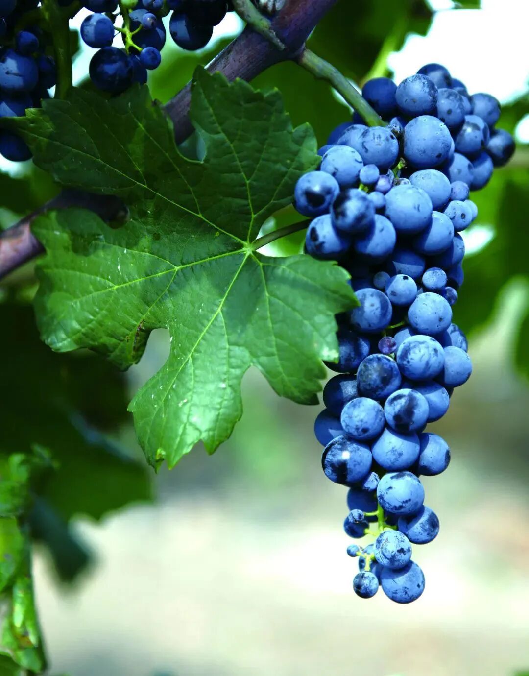 640 (1).jpg 640 (1).jpg