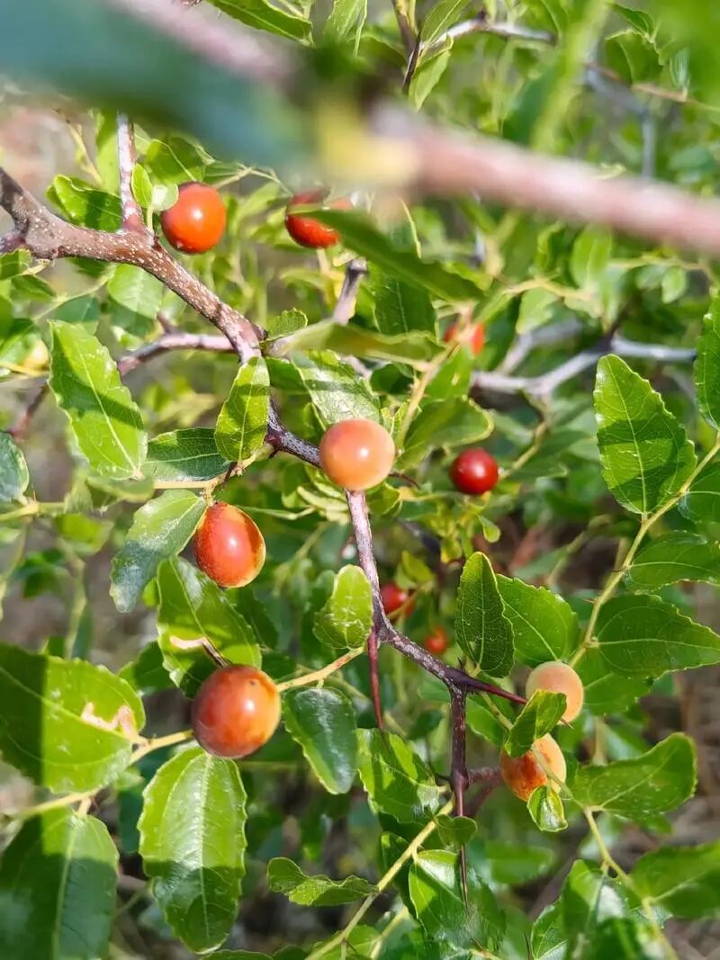 640 (1).jpg 640 (1).jpg