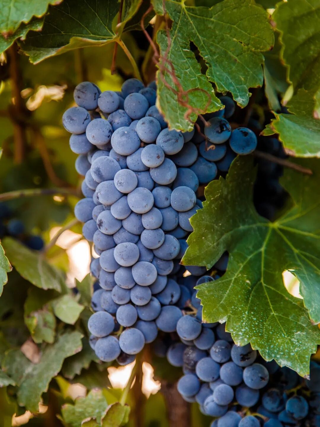 640 (1).jpg 640 (1).jpg