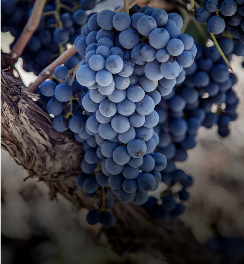 1776246116168.jpg 1776246116168.jpg