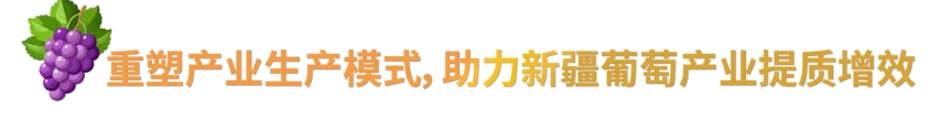 33.png