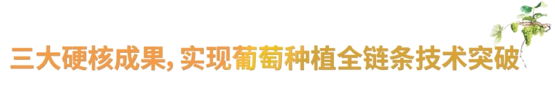 22.png
