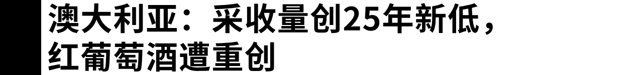 2.png 2.png