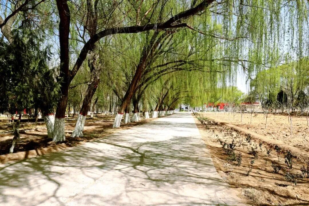 微信图片_2026-08-14_165624_201.jpg 微信图片_2026-08-14_165624_201.jpg
