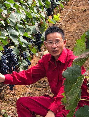 高级工程师，葡萄酒国家评酒委员，云南高原葡萄酒有限公司副总经理兼总工程师。